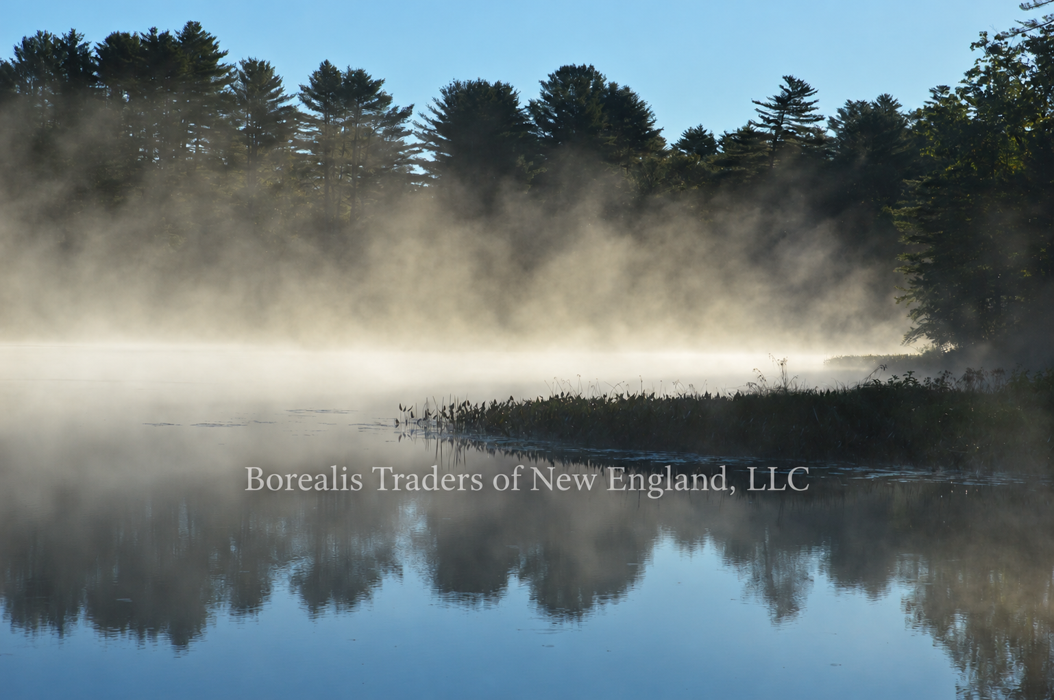 Morning mist rising over a pine-lined lake